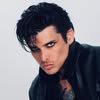 Gil Croes portrait